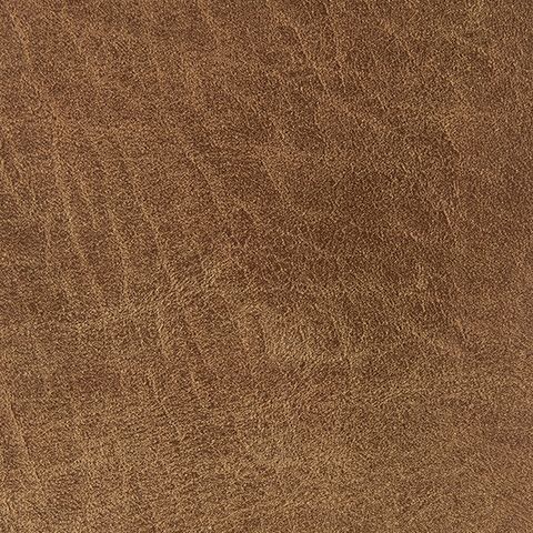 Cortnie - Pillow image 4