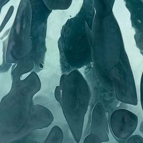 Cartshaw - Vase image 8